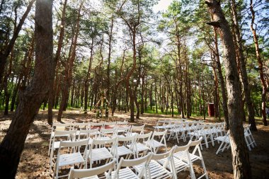 Çam ormanındaki açık hava düğün mekanında konili güzel bir bohem çadır kemeri süslemesi. Sandalyeler, çiçek kompozisyonları güller, halı, ip perisi ışıkları. Yaz kırsal düğünü.