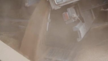 Terminalde çöp kamyonu ya da tahıl kamyonu boşaltırken buğday dökmek. Tarım malları ambara naklediliyor. Gıda tedarik zinciri ve lojistik, yükselen bir hidrolik yükleyici.