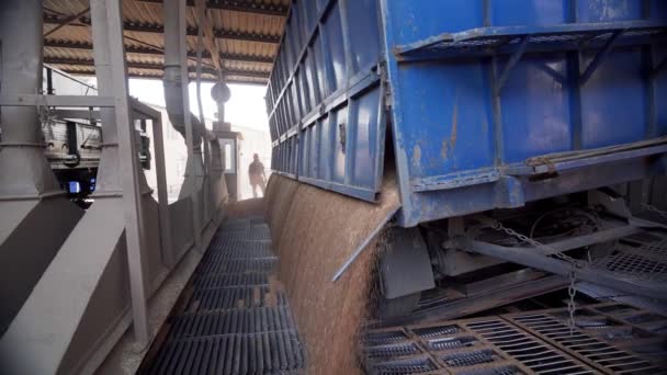 Πανόραμα Εκφόρτωσης Φορτηγών Σιτηρών Στο Ασανσέρ Στον Ανύψωσης Υδραυλικής Πλατφόρμας — Αρχείο Βίντεο