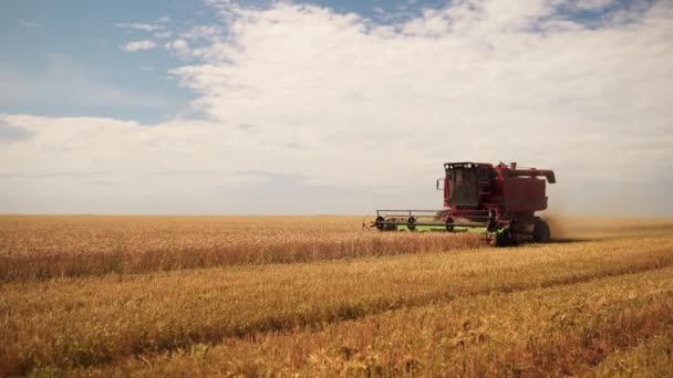 Einem Sonnigen Tag Arbeiten Mähdrescher Bei Bewölktem Himmel Weizenfeld Erntemaschinen — Stockvideo