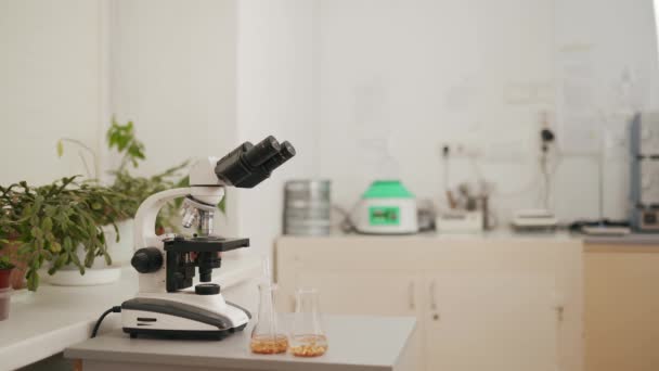 Laboratório Alimentos Com Microscópio Grãos Tubos Com Pipeta Equipamento Laboratório — Vídeo de Stock
