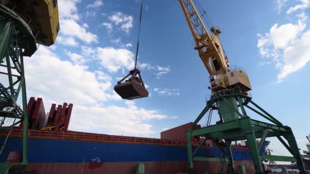 Graanoverslag Van Container Naar Schip Laadruimen Met Dubbele Touw Dubbele — Stockvideo