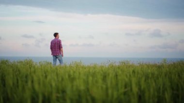 Olgunlaşmış buğday kulaklarıyla yeşil çavdar tarlasında duran Ukraynalı çiftçi. Agronomist adam manzaralı deniz manzarasına bakar ve düşünür. Ukrayna tahıl ihracatı sorunları ve dünyanın gıda krizi kavramı.