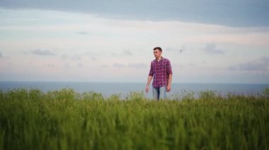 Çiftçi yeşil çavdar tarlasında yürüyor ve olgunlaşmış buğday kulaklarına eliyle dokunuyor. Agronomist bir adam deniz manzaralı tahıl tarlasından geçiyor. Tarım, hasat, tarım, dünya açlık krizi.