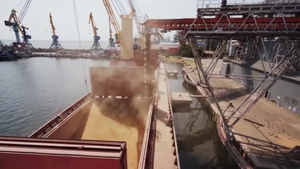 Graanbelading Naar Bulkschip Vrachtcontainer Zeegraanterminal Zeehaven Graantransport Van Silo Naar — Stockvideo