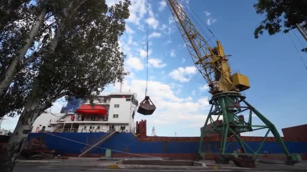 Graanoverslag Van Container Naar Schip Laadruimen Met Dubbele Touw Dubbele — Stockvideo
