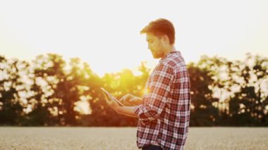 Gün batımında olgunlaşmış buğday tarlasında duran bir tablet kullanan çiftçi. Hassas akıllı tarım yenilikçi teknolojisi tarımda. Dokunmatik bilgisayar, kontrol ve tarım arazilerinde iş analizi yapan tarımcı..