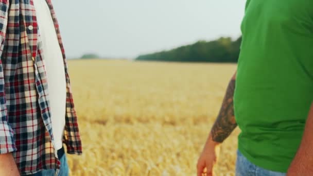 Фермер Агроном Тремтять Руками Після Згоди Стоїть Стиглому Пшеничному Полі — стокове відео