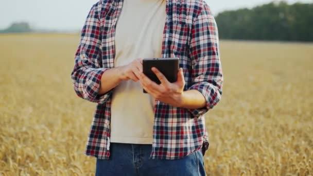 Agricoltura Intelligente Precisione Agricoltore Che Detiene Tablet Utilizzando Software Gestione — Video Stock
