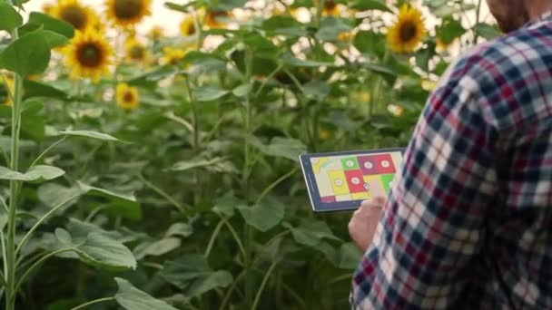 Agricultor Utilizando Software Gestión Datos Línea Mapas Aplicación Fertilizantes Diferenciales — Vídeos de Stock