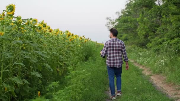 Mann Agronom Landwirt Mit Digitalem Tablet Computer Steht Auf Sonnenblumenfeld — Stockvideo
