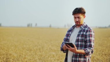 Hassas, akıllı çiftçilik. Çiftçi buğday tarlasında online veri yönetim yazılımı kullanarak tablet tutuyor. Dokunmatik bilgisayar, kontrol ve tarım işleriyle uğraşan bir tarımcı. Yenilikçi teknoloji.