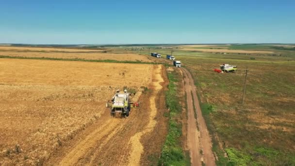 2021 우크라이나 밀밭에서 일하는 수확기를 조립하는 기계는 농지에서 곡물을 수확하는 — 비디오