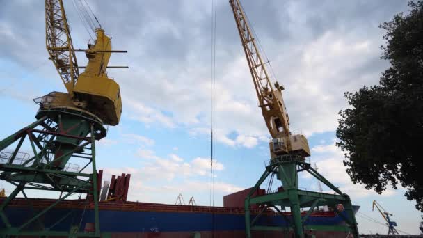 Graanoverslag Van Container Naar Schip Laadruimen Met Dubbele Primeur Grijper — Stockvideo
