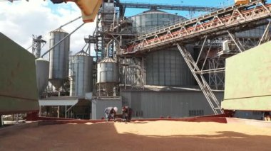 2021-06-09 Mariupol, Ukrayna. Ukrtransagro LLC. Böcek Kontrol Servisi çalışanları bir tahıl gemisinin kargo ambarında dezenfekte yapıyor. Erkekler böcekleri temizlemek için buğdaya dezenfekte tabletleri atar..