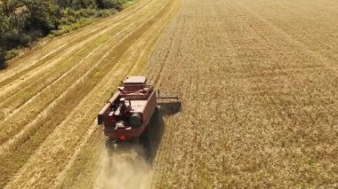 2021-07-08 Ukrayna, Nikolske. Hava aracı görüntüsü: buğday tarlasında çalışan bir hasat aracı. Çiftçilik arazilerinde ekilmiş tahıl hasadı biçme makinası hasadı. Tarımda organik tahıl yetiştiriciliği