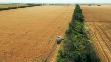 2021-07-08 Ukrayna, Nikolske. Hava aracı görüntüsü: buğday tarlasında çalışan bir hasat aracı. Çiftçilik arazilerinde ekilmiş tahıl hasadı biçme makinası hasadı. Tarımda organik tahıl yetiştiriciliği