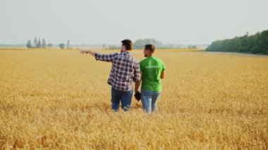 Çiftçiler buğday tarlasında yürür, hasat planını tartışırlar. Agronomist, dokunmatik tabletli ev sahibi tarım ürünlerinin hasat verimliliği konusunda pazarlık yapıyor. Tarım alanında modern teknolojiler. Akıllı çiftçilik.