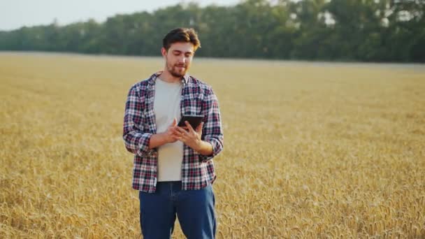 精密スマート農業 小麦畑でオンラインデータ管理ソフトウェアを使用して 農家がタブレットPcを保持 タッチコンピュータ 農業ビジネスの分析を扱う農学者 革新的な技術 — ストック動画