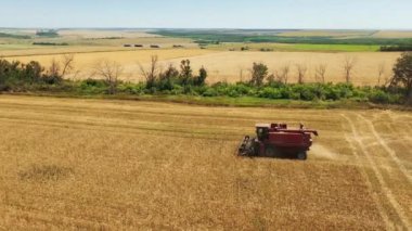 2021-07-08 Ukrayna, Nikolske. Hava aracı görüntüsü: buğday tarlasında çalışan bir hasat aracı. Çiftçilik arazilerinde ekilmiş tahıl hasadı biçme makinası hasadı. Tarımda organik tahıl yetiştiriciliği
