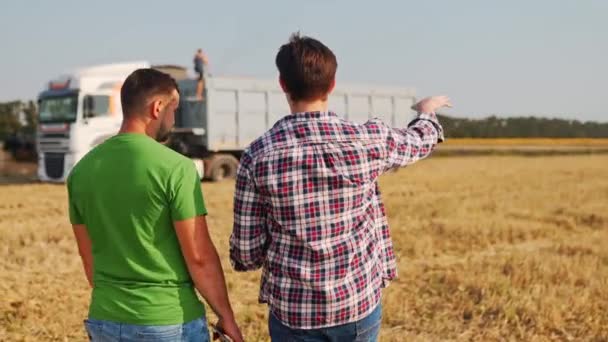 Фермеры Ходят Пшеничному Полю Обсуждают Агроном Логистический Агент Сенсорным Планшетным — стоковое видео