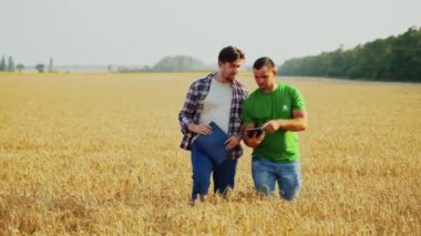 Çiftçiler buğday tarlasında yürür, hasat planını tartışırlar. Agronomist, dokunmatik tabletli ev sahibi tarım ürünlerinin hasat verimliliği konusunda pazarlık yapıyor. Tarım alanında modern teknolojiler. Akıllı çiftçilik.