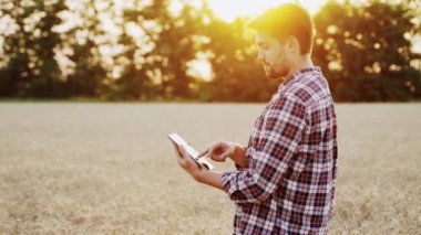 Gün batımında olgunlaşmış buğday tarlasında duran bir tablet kullanan çiftçi. Hassas akıllı tarım yenilikçi teknolojisi tarımda. Dokunmatik bilgisayar, kontrol ve tarım arazilerinde iş analizi yapan tarımcı..