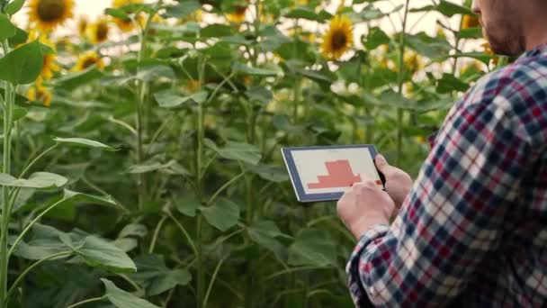 Landwirt Mit Online Datenmanagement Software Landkarten Für Die Düngemittelanwendung Foliendiagramme — Stockvideo