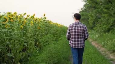 Dijital tabletli çiftçi adam ayçiçeği tarlasında uygulamaları, interneti tarımda akıllı tarım modern teknolojileri için kullanıyor. Çiftlik Sahibi çevrimiçi veri yönetimi yazılımı kullan