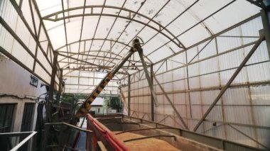 Sonda tester buğday kalitesi analizi için toplamak için kamyon römork içine almıştı. Otomatik kontrol sistemi, makine fabrikası, ekmek, ekmek fabrikası veya tahıl terminal sınama.