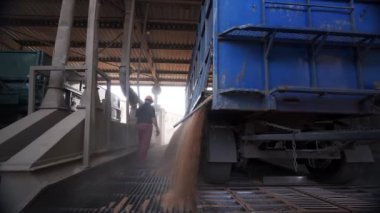 2021-06-09 Mariupol, Ukrayna. Ukrtransagro LLC. Tahıl kamyonu, deniz limanındaki tahıl asansöründe yükselen hidrolik platforma yükleme yapıyor. Buğday, çöp kamyonundan silo taşıyıcıya dökülüyor..