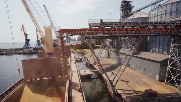 Spannmålslastning Till Bulkfartyg Lastcontainer Vid Havskorn Terminal Kusthamn Vetetransport Från — Stockvideo