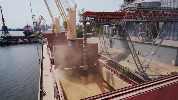 Chargement Grain Dans Conteneur Cargaison Vraquier Terminal Maritime Grain Dans — Video