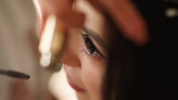 Makeup Master Doing Professional Makeup Brush Eyelashes Decorative Cosmetics Make — Stok Video