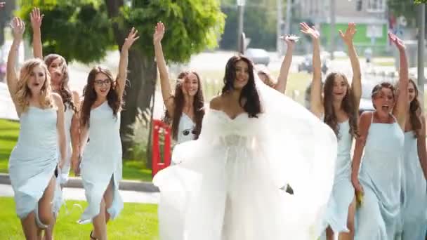 Bella Sposa Sue Belle Damigelle Abiti Blu Pallido Piedi Parco — Video Stock