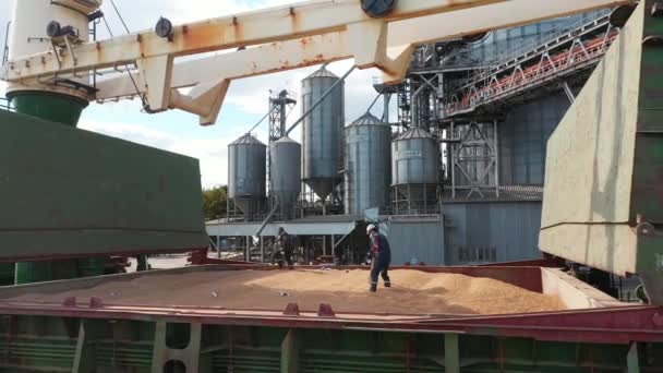 2021 Mariupol Ukraina Ukrtransagro Llc Arbetare Som Utför Desinficering Lastrummen — Stockvideo