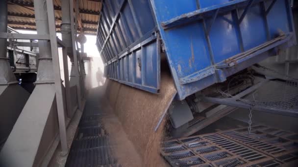 电梯卸料车在提升液压平台卸船机上的全景 海港大海上码头谷物作物转运 — 图库视频影像
