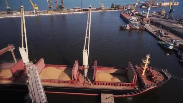 Wheat Loading Bulker Ship Cargo Container Sea Grain Terminal Seaport — Αρχείο Βίντεο