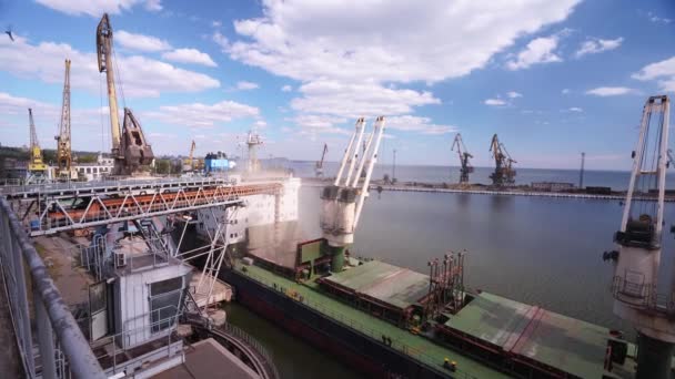 Tarwebelading Naar Bulkschip Vrachtcontainer Zeegraanterminal Zeehaven Tarwe Verzending Van Silo — Stockvideo