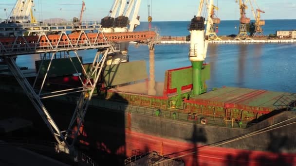 Luchtfoto Van Tarwebelading Naar Bulkerschip Vrachtruim Bij Zeegraanlift Zeehaven Tarwe — Stockvideo