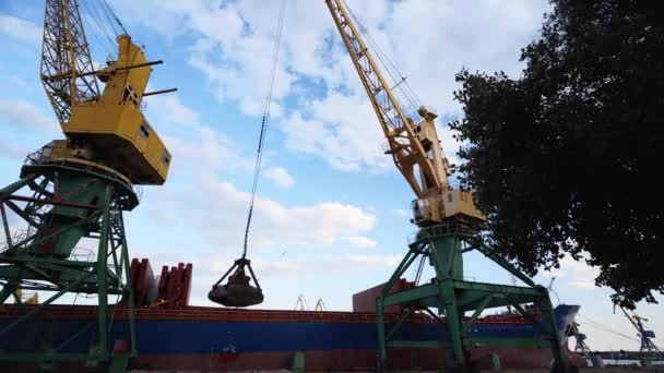 2021 Mariupol Ukraine Ukrtransagro Llc Grain Transshipment Container Ship Cargo — Stockvideo