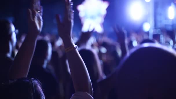 People Silhouettes Clapping Hands Live Music Concert Open Air Festival — Stock video