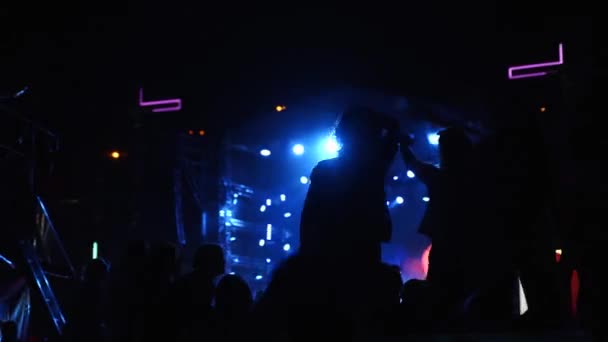 Pessoas Acenando Bandeira Dança Goza Festival Música Concerto Fãs Acenando — Vídeo de Stock