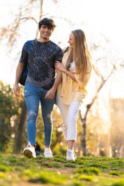 Genç heteroseksüel çift parkta yürüyor ve konuşuyor.