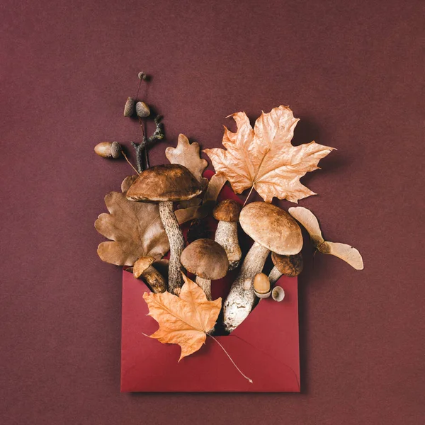 Mushrooms Dry Leaves Envelop Dark Brown Background Autumn Harvest Concept — Foto de Stock