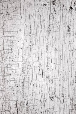 Düğümlü, dikey, yakın plan, çatallı eski beyaz ahşap bir yüzey.