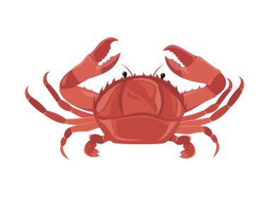 Yengeç, karikatür tarzında deniz ürünleri. Bir deniz hayvanı tasviri