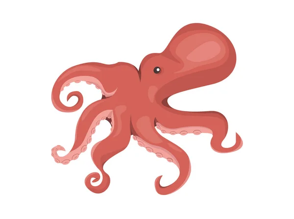 Octopus Frutos Mar Estilo Cartoon Ilustração Animal Marinho — Fotografia de Stock