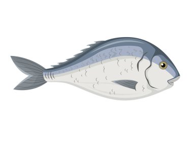 Dorado, karikatür tarzında bir deniz hayvanı çizimi, balık..
