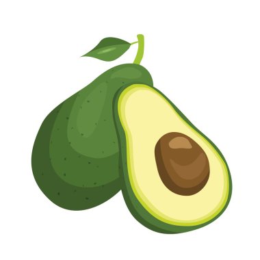 Avokado. Çizgi film tarzında yiyecek tasviri.